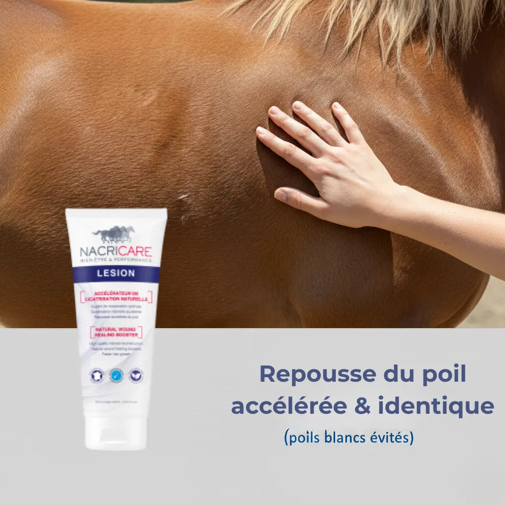 Résultat repousse poil cheval après soin cicatrisant Nacricare Lesion