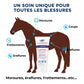 Zones d'application crème Lesion Nacricare sur le corps du cheval