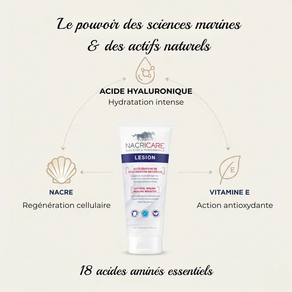Ingrédients naturels crème cicatrisante cheval Nacricare à la nacre et acide hyaluronique