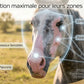 Crème solaire Nacrisun pour protéger les naseaux roses et paturons sensibles du cheval.