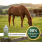Cheval serein au pré grâce au soin Dermeol contre la dermite estivale.
