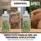Avant-après crème Dermeol : cicatrisation et repousse du poil sur un cheval.