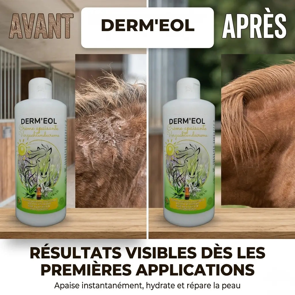Avant-après crème Dermeol : cicatrisation et repousse du poil sur un cheval.