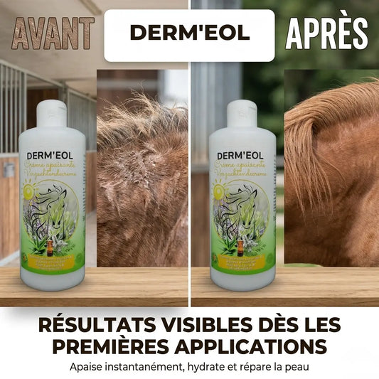 Avant-après crème Dermeol : cicatrisation et repousse du poil sur un cheval.