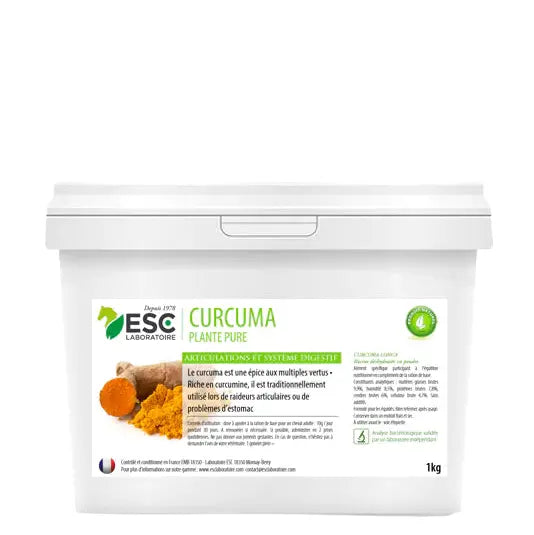 Seau de 1kg de curcuma en poudre plante pure
