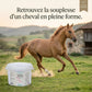 Cheval au galop dans un pré, confort articulaire grâce au curcuma.