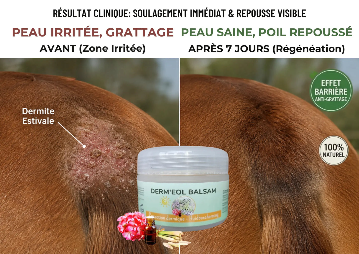 Derm Eol Balsam baume apaisant cheval avant apres repousse poil dermite estivale