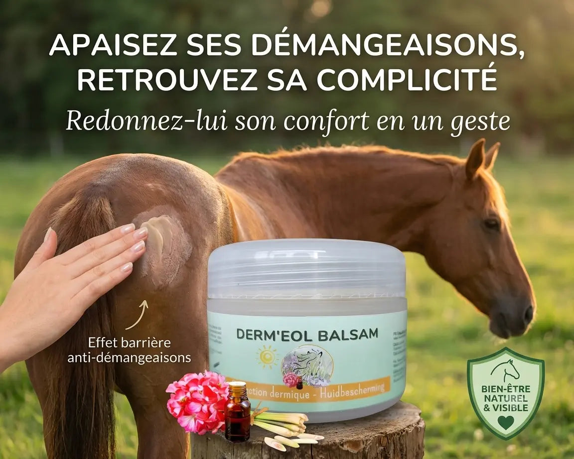 Cavalier appliquant le baume Derm Eol sur son cheval apaisé au pré