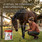Cavalier appliquant le gel de récupération Leovet à son cheval pour son bien-être.