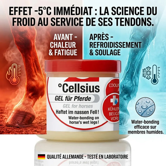 Gel Celsius Leovet : effet froid instantané pour tendons du cheval après effort.