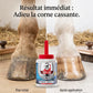 Comparatif avant après huile Huflab sur sabot de cheval sec.