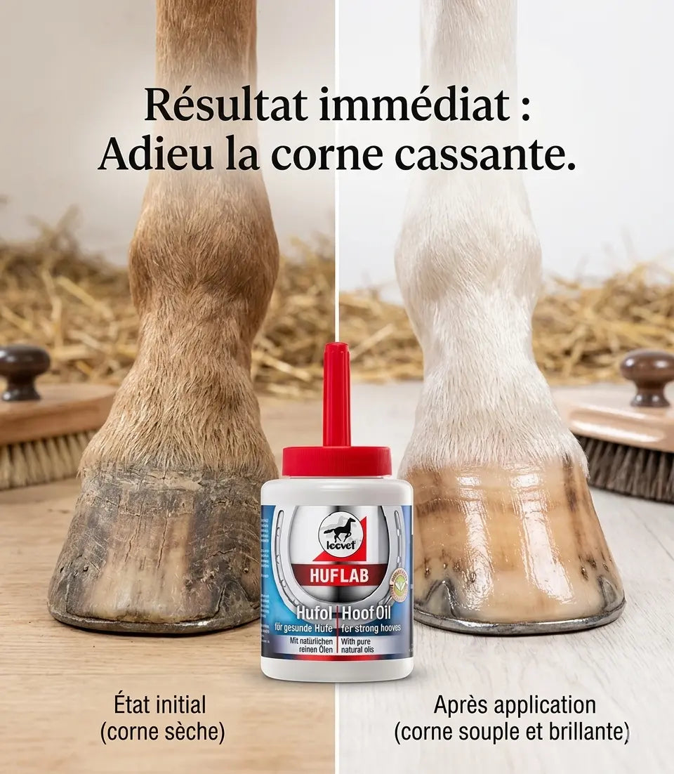 Comparatif avant après huile Huflab sur sabot de cheval sec.