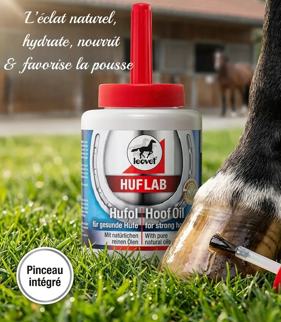 Huile Huflab Leovet pour sabots brillants et sains .