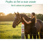 Cheval serein au pré protégé de la dermite estivale avec le soin Leovet.