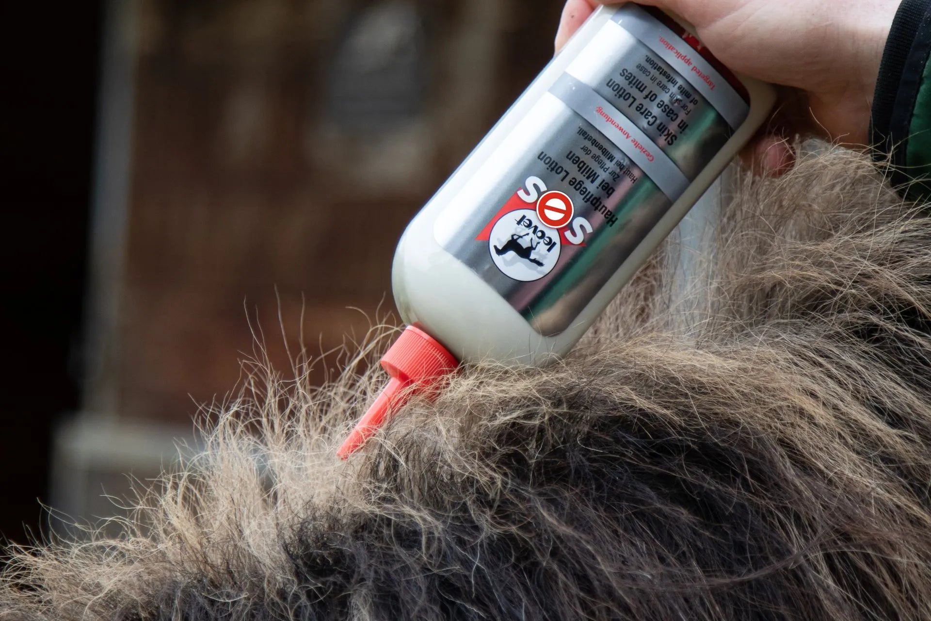 Flacon de 500ml de lotion anti-démangeaison SOS de Leovet , efficace contre les acariens et la dermite en train d'être appliqué sur une crinière 