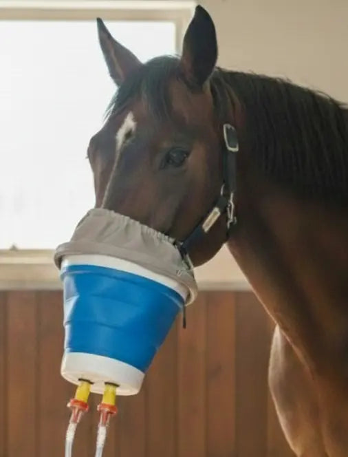 cheval-porter-masque-inhalateur-therapie-respiratoire-confort