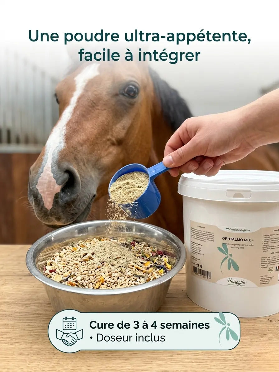 Comment donner le complément oculaire en poudre Nutragile dans la ration du cheval.