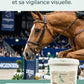 Complément ophtalmique pour cheval de sport et de saut d’obstacles.