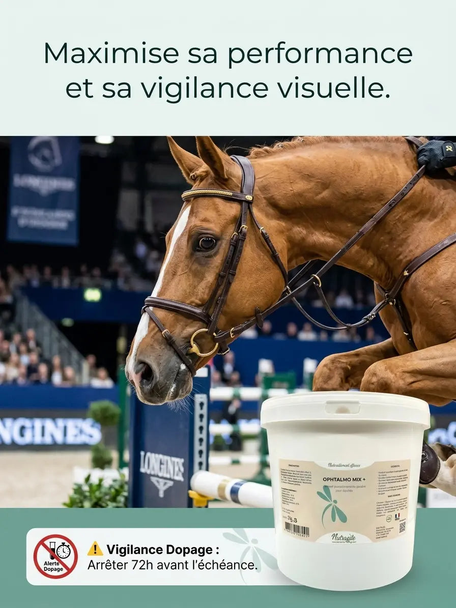 Complément ophtalmique pour cheval de sport et de saut d’obstacles.