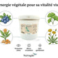 Ingrédients naturels de l’Ophtalmo Mix Nutragile pour le drainage et l'œil du cheval.