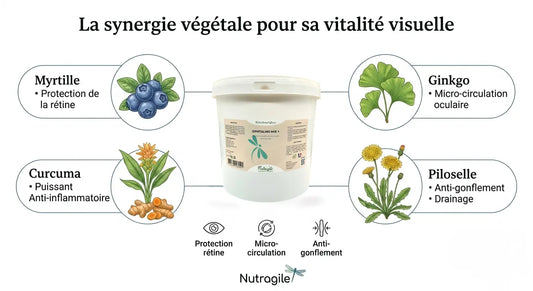 Ingrédients naturels de l’Ophtalmo Mix Nutragile pour le drainage et l'œil du cheval.