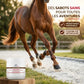 Cheval au galop montrant des sabots sains et brillants grâce à l'onguent Nacricare.