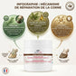 nfographie onguent sabots Nacricare expliquant l'action de la kératine, de l'huile de laurier et de la vitamine E.