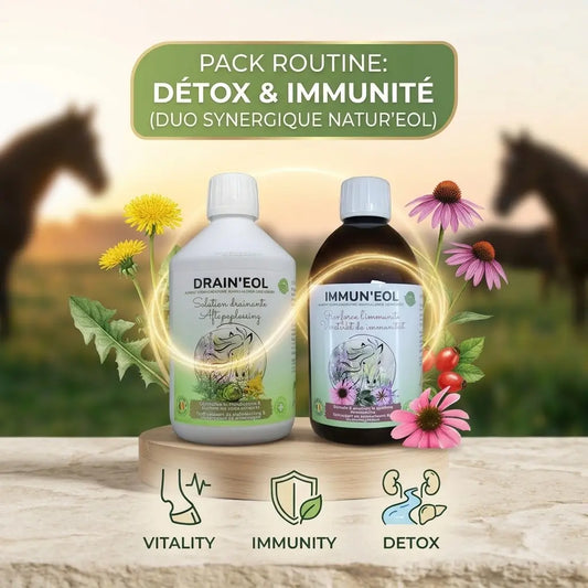 Pack Routine Détox et Immunité Cheval EOL : flacons Drain'eol et Immun'eol sur socle en pierre avec illustrations botaniques et icônes de bénéfices.