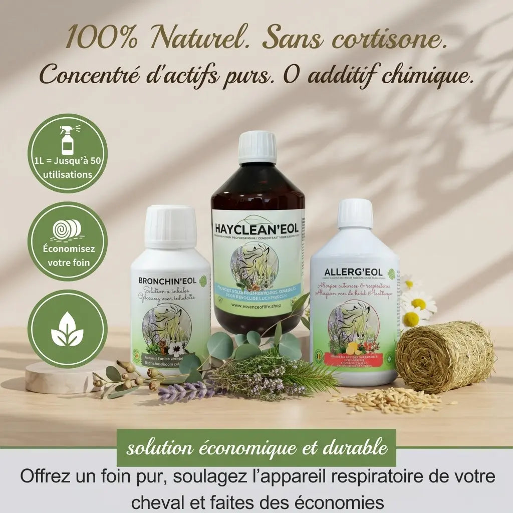 Pack de soins naturels pour respiration cheval comprenant les produits Allerg'Eol, Bronchin'Eol et Hayclean'Eol. Solution complète sans cortisone ni additif chimique avec extraits de plantes (eucalyptus, lavande, thym). Visuel incluant des économies sur le foin et une purification des voies respiratoires équines pour une gestion durable et économique.