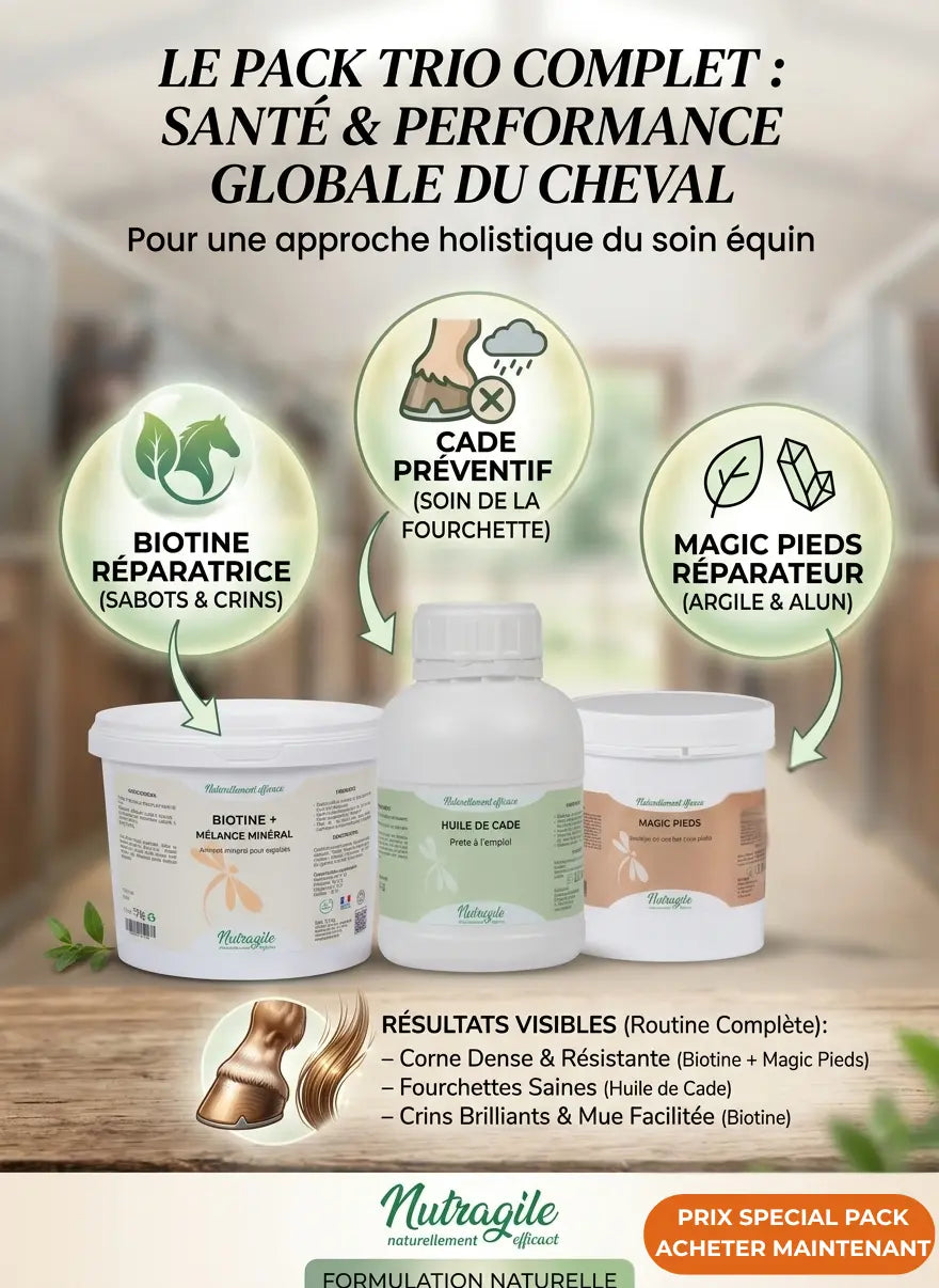 Pack Trio Nutragile pour chevaux : Biotine, Huile de Cade et Magic Pieds. Soin complet pour sabots cassants, fourchettes saines et crins brillants. Ingrédients naturels, argile et zinc pour la santé équine.