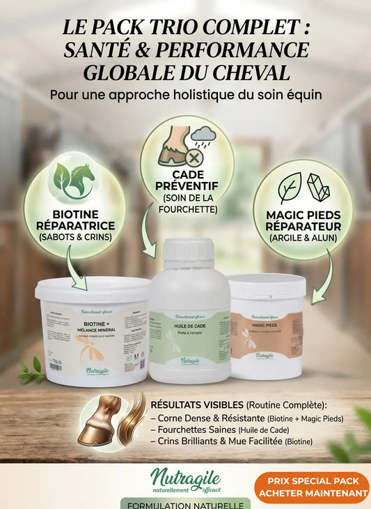Pack Trio Nutragile pour chevaux : Biotine, Huile de Cade et Magic Pieds. Soin complet pour sabots cassants, fourchettes saines et crins brillants. Ingrédients naturels, argile et zinc pour la santé équine.