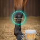Argile Nutragile soin anti-douleur et œdème cheval