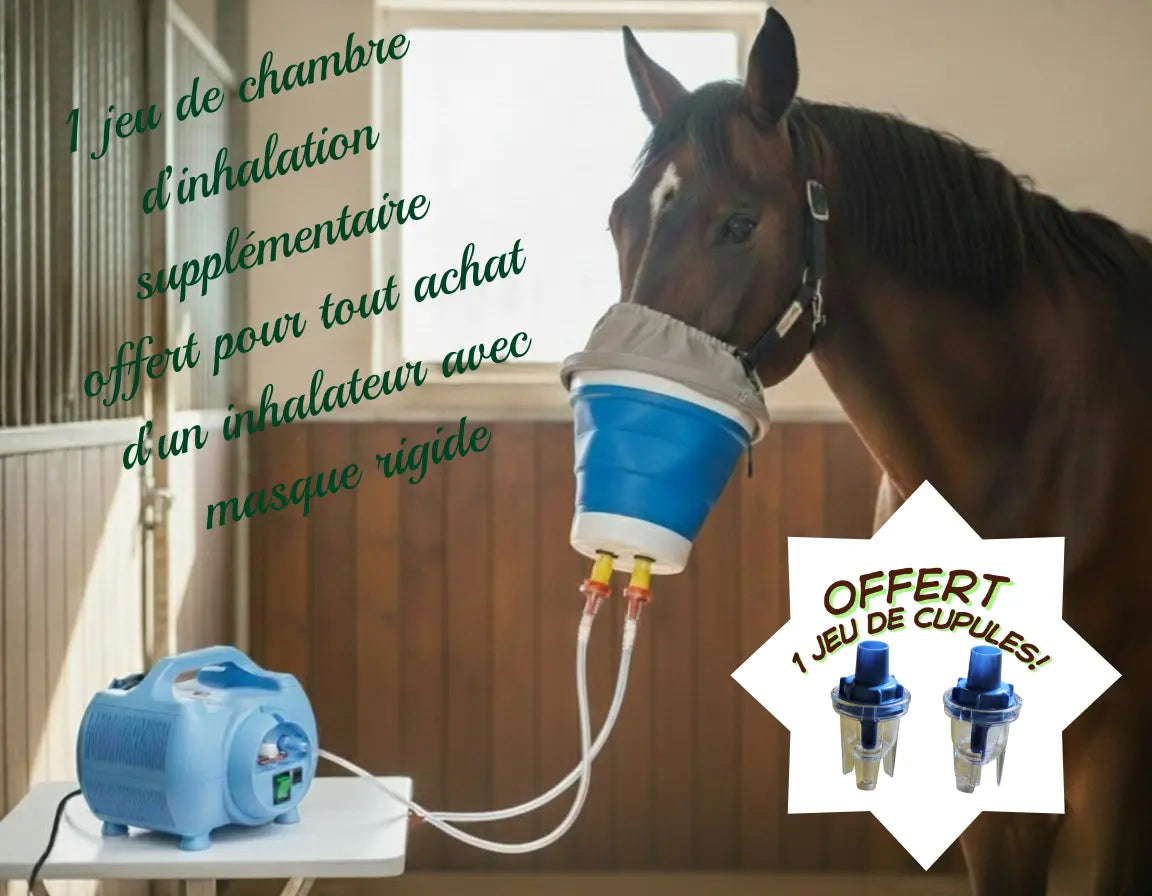 Nébuliseur utilisé par un cheval avec un masque rigide