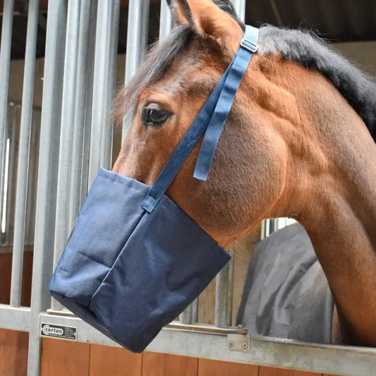 cheval-porte-masque-inhalation-soulagement-respiratoire