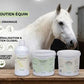 Infographie d'une routine de suppléments Nutragile pour chevaux 