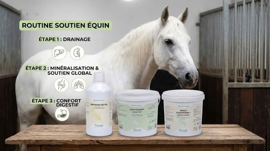Infographie d'une routine de suppléments Nutragile pour chevaux 