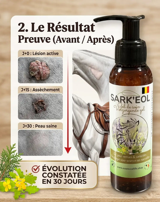 Evolution traitement sarcoide et verrue cheval avant apres avec gel naturel Sark EOL