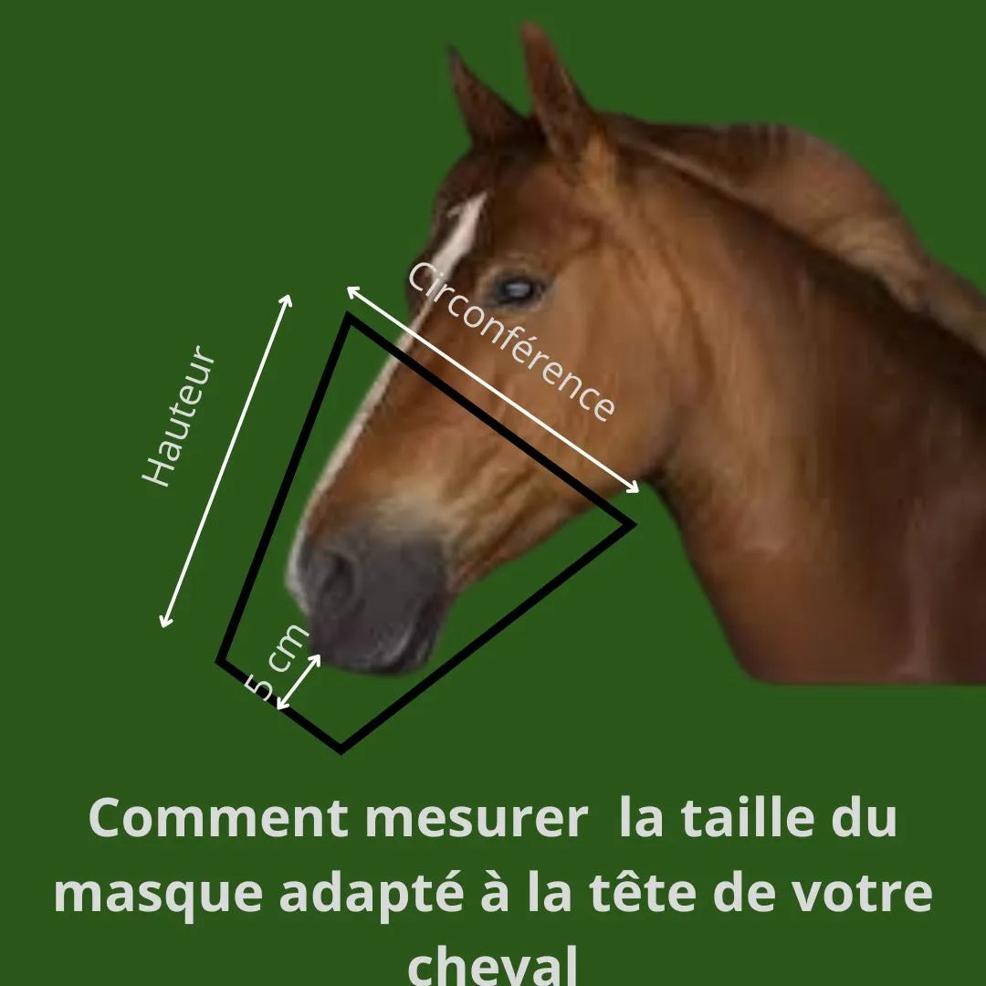 Image représentant comment mesurer la taille du masque d'inhalation adapté à la tête de son cheval