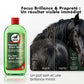 Résultat avant-après shampoing cheval : robe brillante et crins sains grâce au Tea Tree.