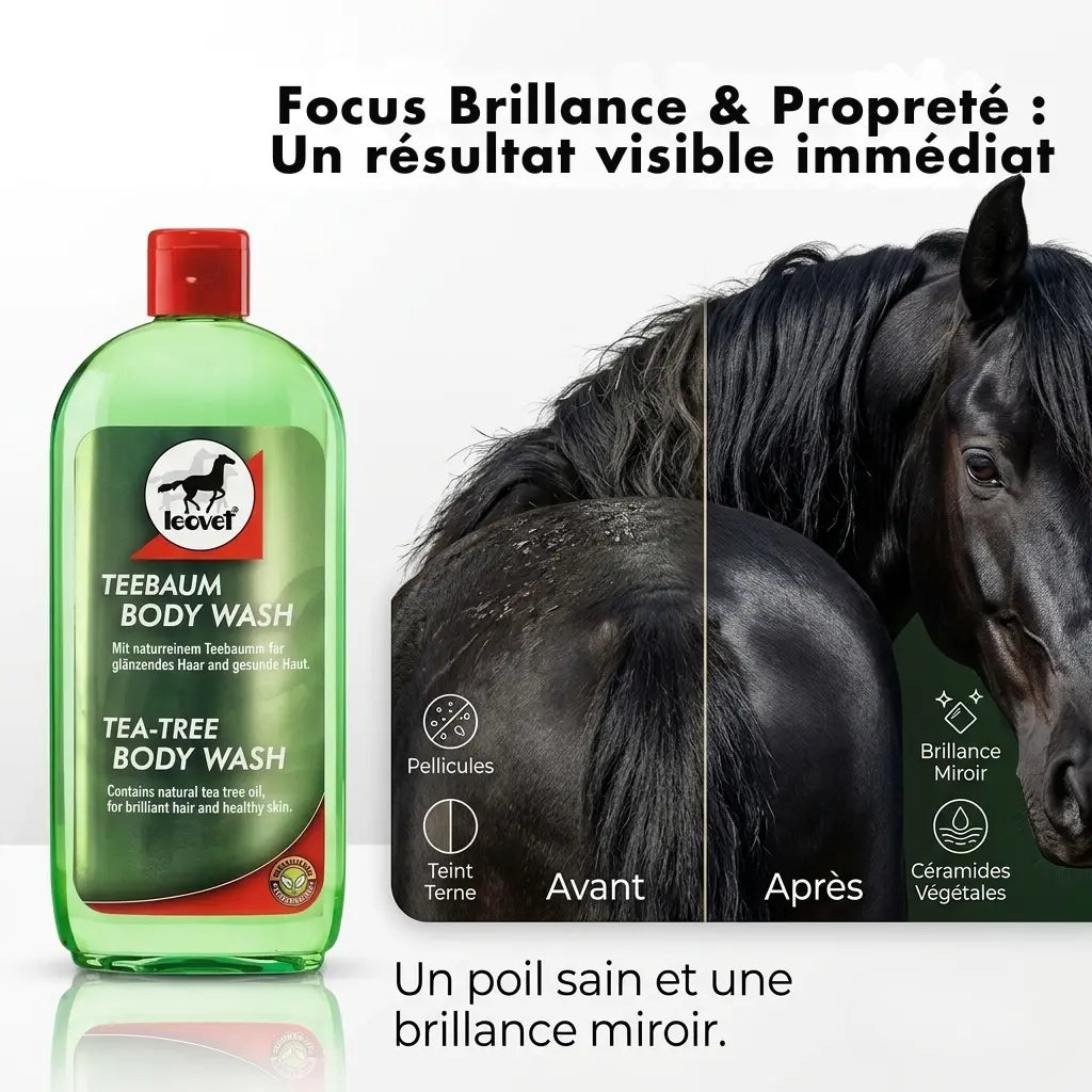 Résultat avant-après shampoing cheval : robe brillante et crins sains grâce au Tea Tree.