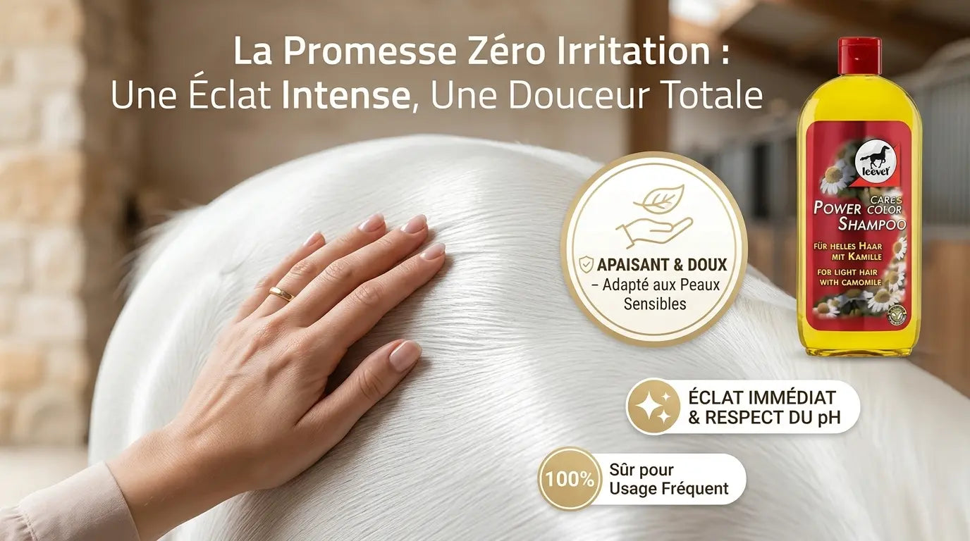 Zoom sur la robe brillante d'un cheval après son shampoing doux à la camomille.