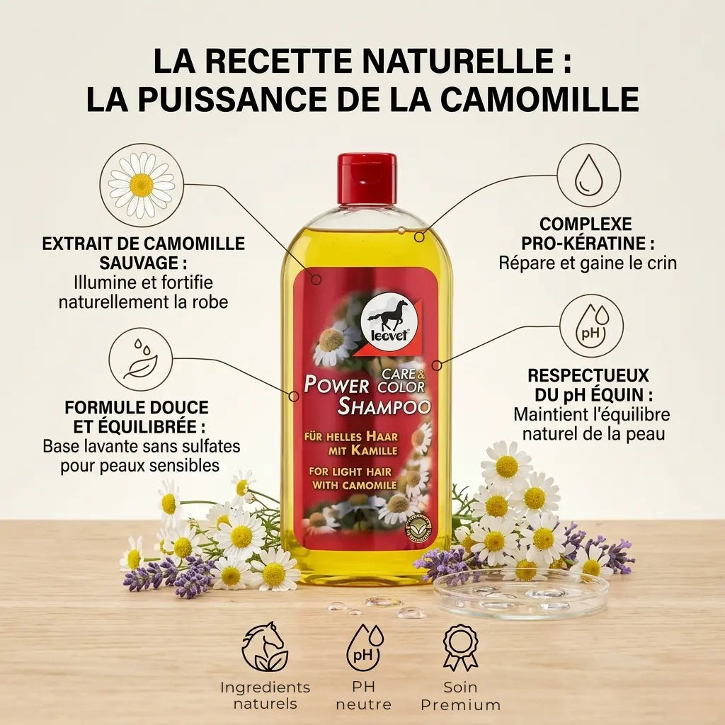 Shampoing naturel camomille pour cheval, formule douce respectant le pH équin et la peau.