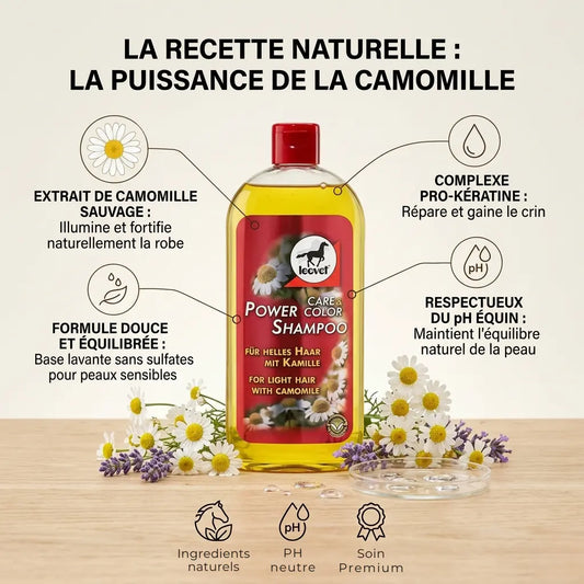 Shampoing naturel camomille pour cheval, formule douce respectant le pH équin et la peau.