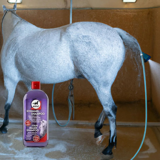 photo d'un cheval gris sous la douche et d'une Bouteille de shampoing leovet pour cheval gris ou clair