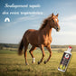Cheval au galop respirant librement grâce au sirop Leovet Bronchial Elixir.