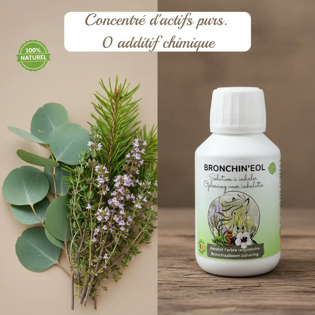 Bronchineol : solution naturelle aux huiles essentielles pour chevaux.