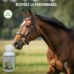 Cheval qui respire mieux grâce à l'inhalation Bronchineol.