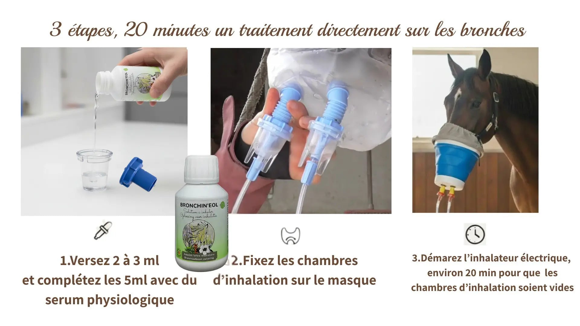 Étapes simples pour utiliser Bronchin'eol avec un inhalateur horseneb