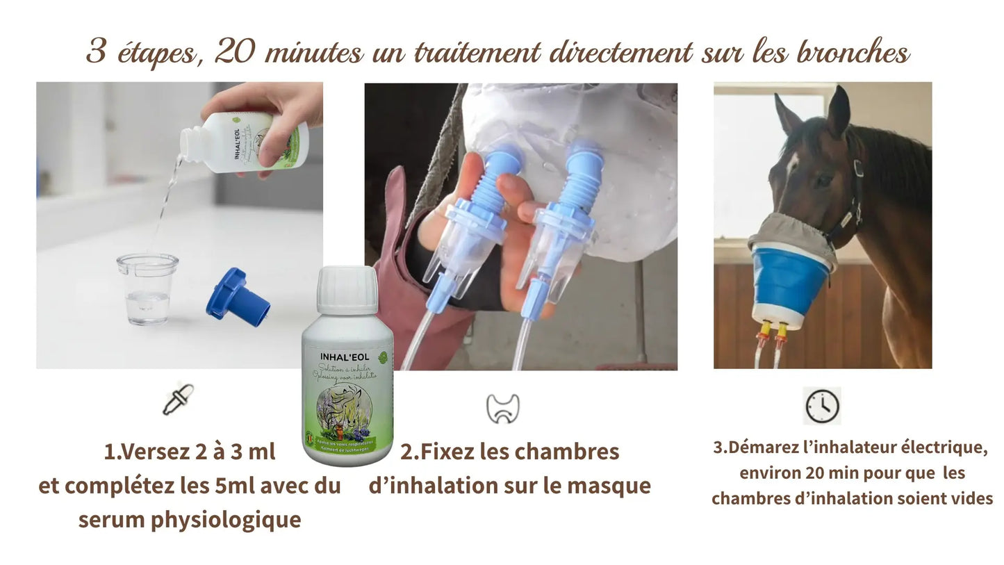 Étapes simples pour utiliser Inhaleol avec un inhalateur horseneb