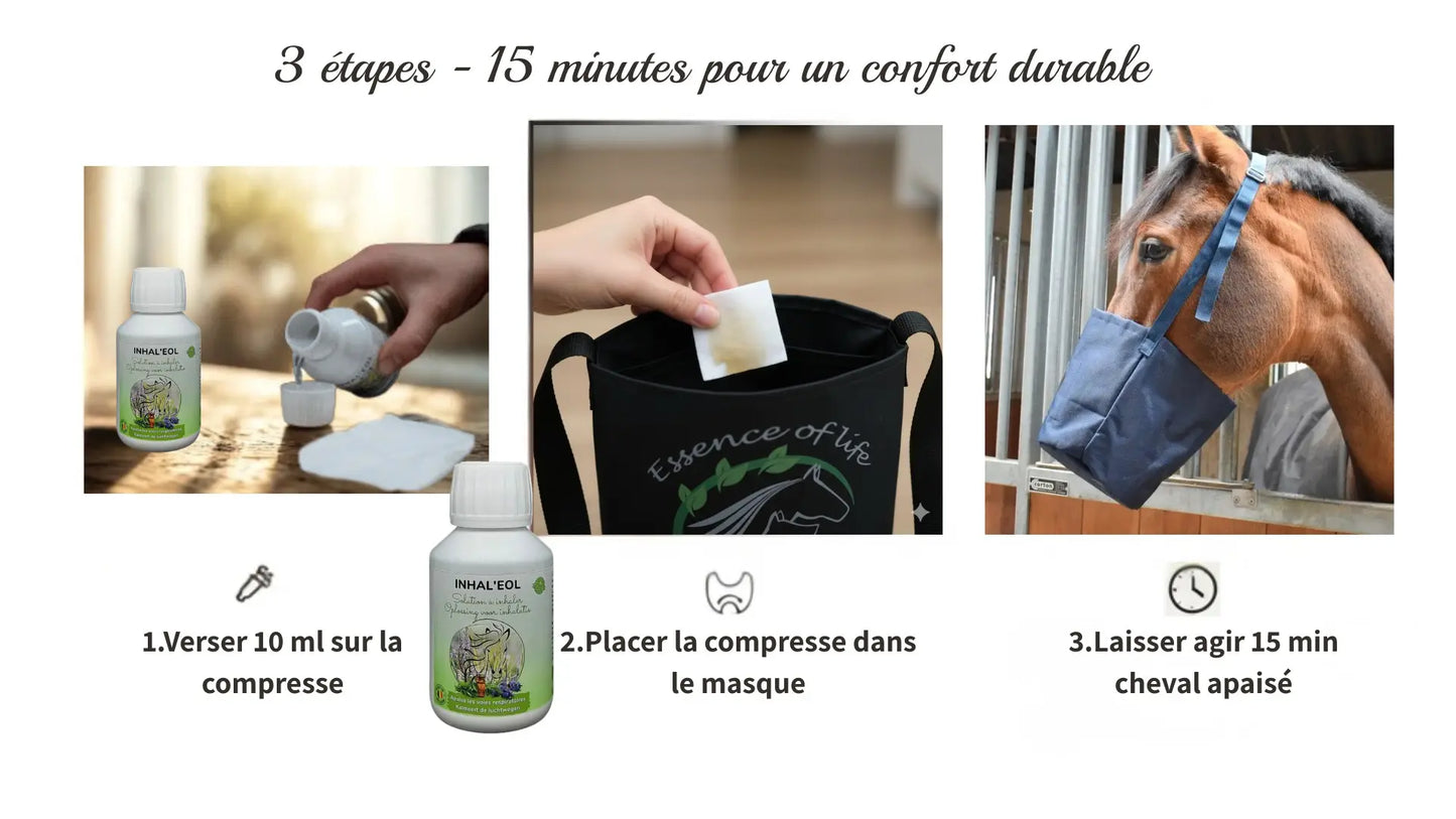 Étapes simples pour utiliser Inhaleol avec un masque d'inhalation équin.